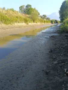 Canale 8000 nel Fucino, tutela dell’ambiente e della fauna ittica.