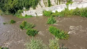 Fiume Liri a Civitella Roveto con acque sporche e condizioni ambientali preoccupanti