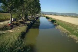 Campionato Italiano a Squadre 2026 di pesca al colpo a Canale 8000